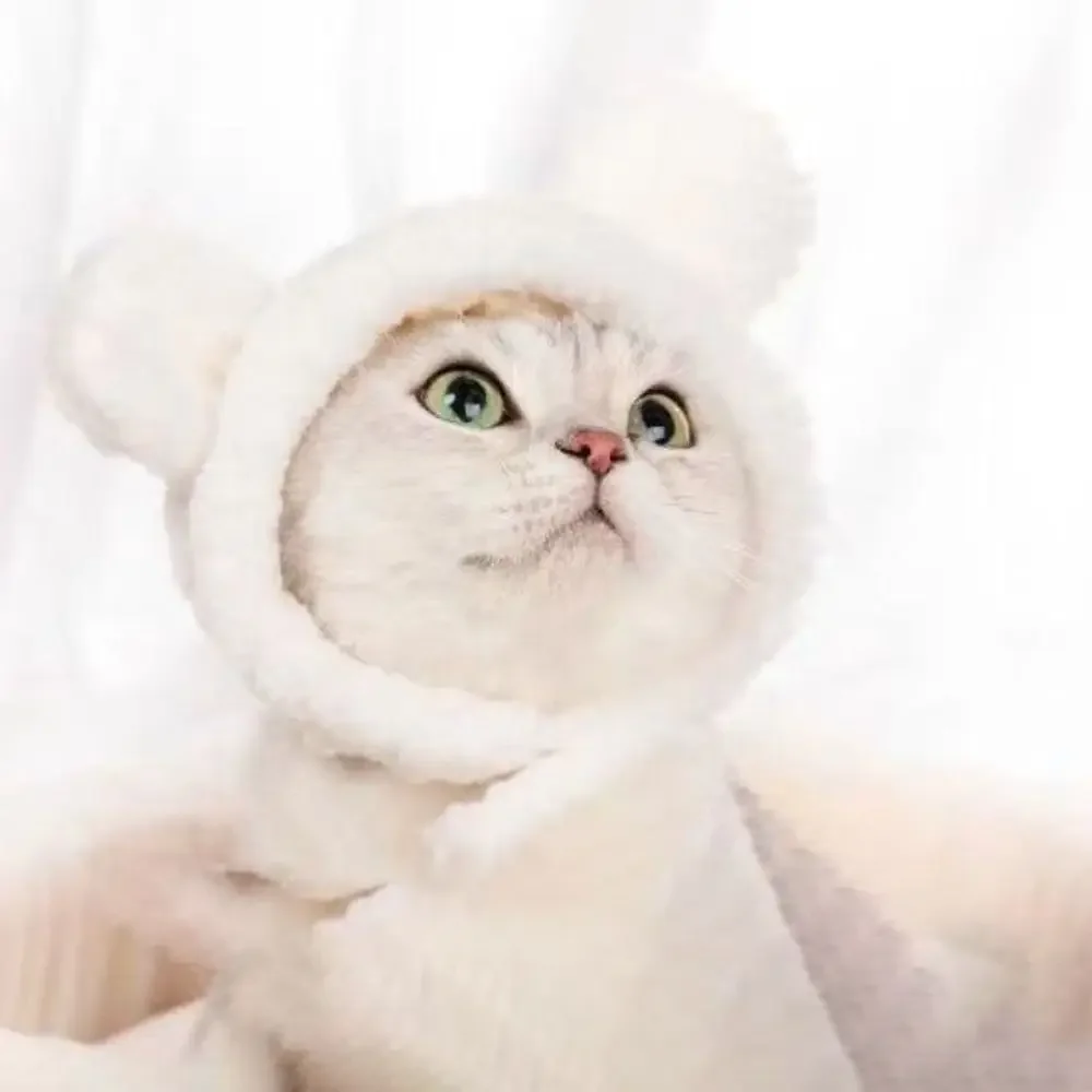 Cute Refined Cat Hat Plush Elastic Winter Pet Hat Puppy Kittens Knitted Hat Party Cosplay Props Decoration Dog Accessories Pet