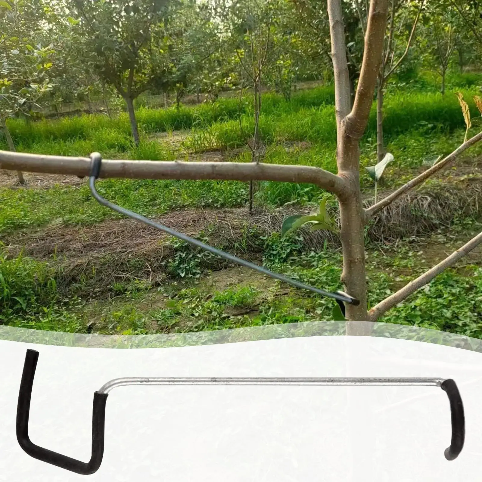 

10Pcs Fruit Tree Branches Holder Plant Support Fruit Branch Spreader Tree Branch Support Frame For Yard Fruit Tree Branches Fixe