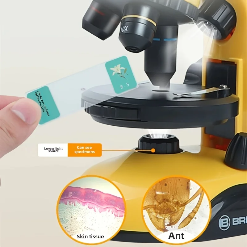 (แนะนําโดยสหรัฐอเมริกา) ใหม่เดสก์ท็อปกล้องจุลทรรศน์ชีวภาพแนวตั้งเด็กปริศนาของเล่นการทดลองวิทยาศาสตร์ชุดสําหรับ P