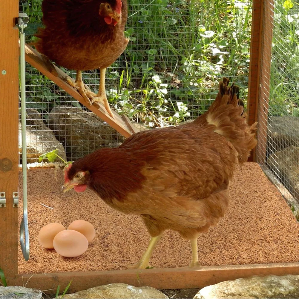 6/10 Natural Coconut Coir Chicken Nests Mats 11.8-inch, Multipurpose Poultry And Egg-laying Supplies Chicken Mats Farm Mats