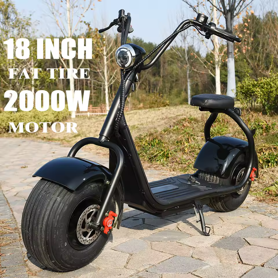 Citycoco 2000W 전기 스쿠터 주행 모습