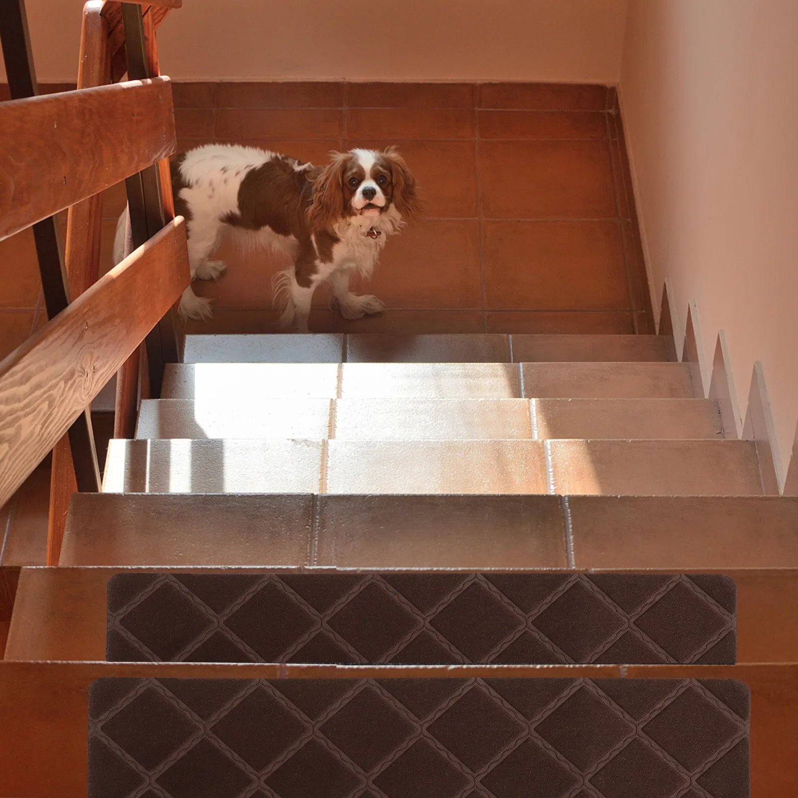 4Pcs Anti Slip Stair Carpet Soft Comfortable Self Sticking Indoor Outdoor Stair Runner for Wooden Steps Pets Safety