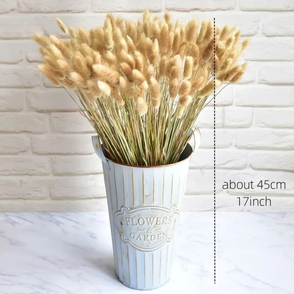 60pcs/bundle Natural Bunny Rabbit Tail Grass Dried Flower Home Decor Bouquet Colorful Lagurus Ovatus Wedding Floral Arrangements - Image 2