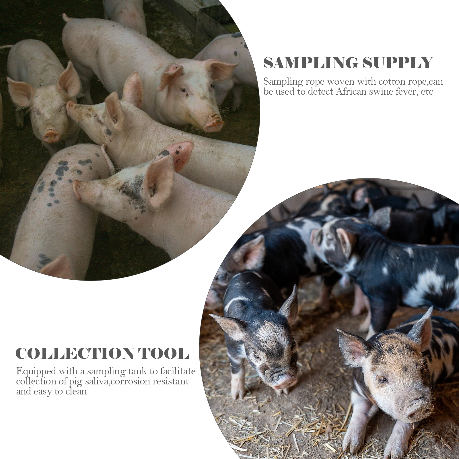 

Pig Cotton Swine Fever Testing Tools Swine Saliva Sampling Tool Collection Bag Saliva Sampling Tube DIY Decor Thick Durable