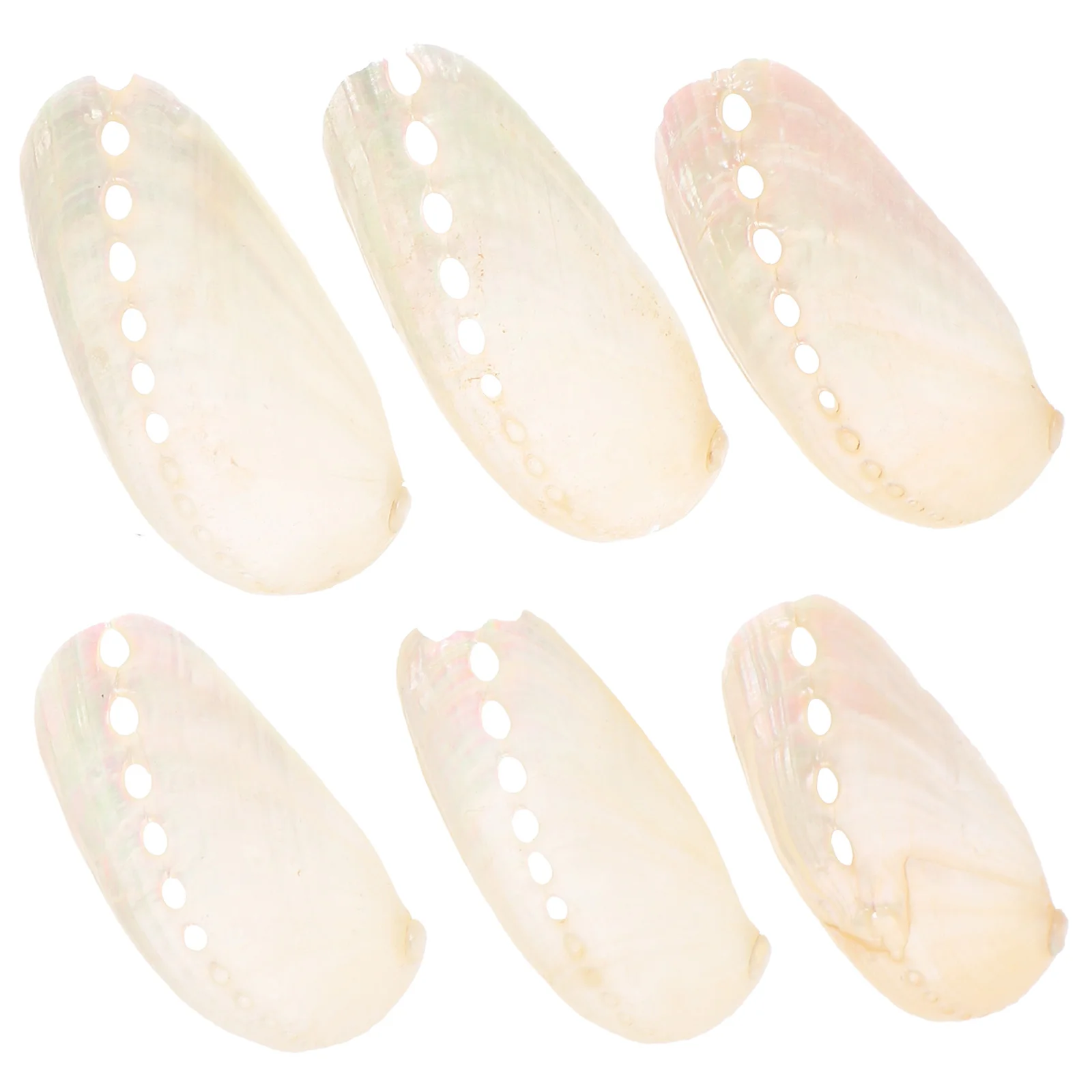 6 Pcs Beach Style Decorative Shell Home Fish Tank Adornment Decorative Aquarium Ornament Natural Wedding Household