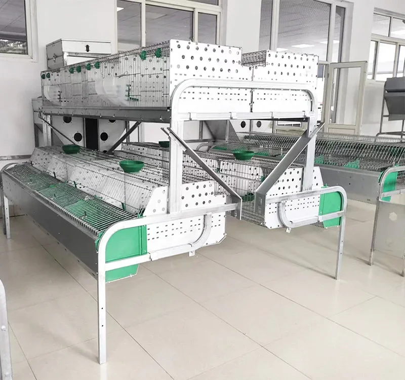 Automatic feeding  rabbit cage  female rabbit farms Cages Sold at a discount