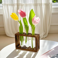 Plant Test Tube Hydroponic Vase Water-grown Flower Arrangement Plant Container Simple Wooden Frame Decors Creative Glass Vases