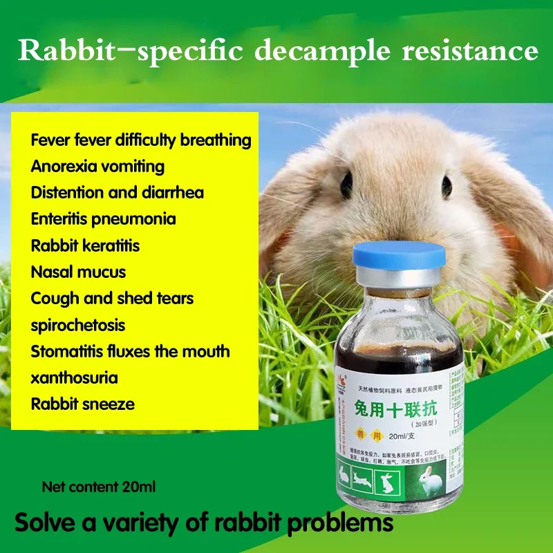 Rabbits with decad anti to improve the body immunity rabbit fever oral yellow urine sphaera diarrhea does not eat convulsions