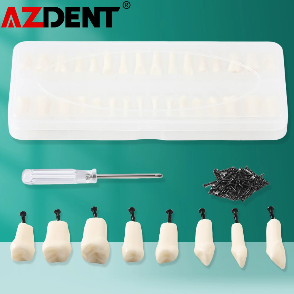 

32Pcs Dental Practice Teeth Model Typodont Acrylic Set Crown Resin Denture Teeth Prep Endo Study Model Replacement Screw