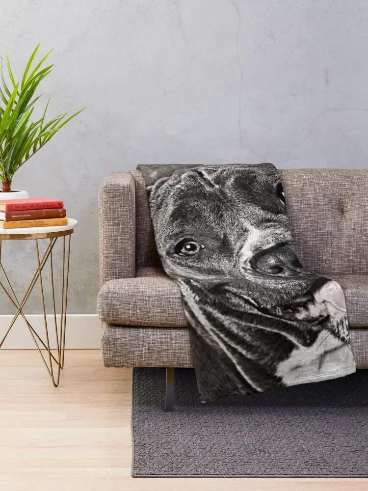 American Staffordshire Terrier - Amstaff Throw Blanket Shaggy Blanket Soft Blanket