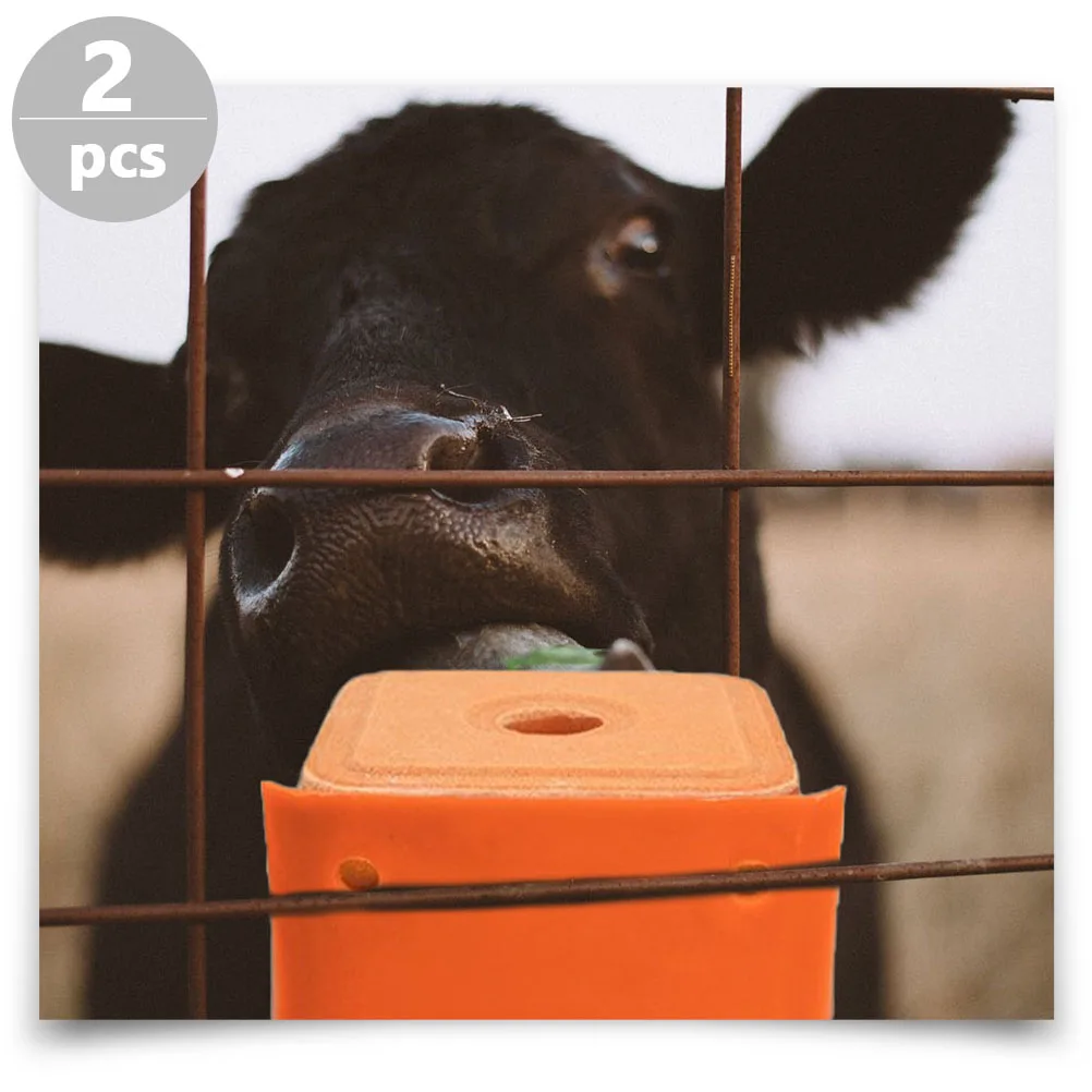 

2Pcs Thickened Livestock Feeder Easy Assembly Mount Antiskid Bottom Superior Quality Sheep Cattle Mineral Lick Holder