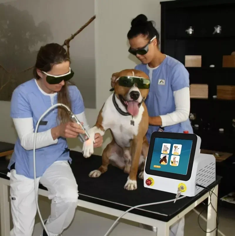 Professional veterinary equipment  portable 60w 980nm arthritis ultrasound veterinary cold laser equipment for dogs