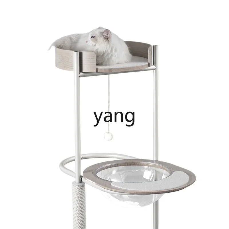 Zl Minimalist Cat C… - image