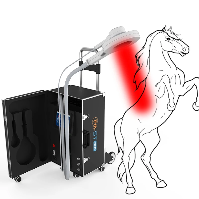 Equine Physio Magneto Therapy Machine Pemf Magnetic Physiotherapy Device for Horses Pain Relief