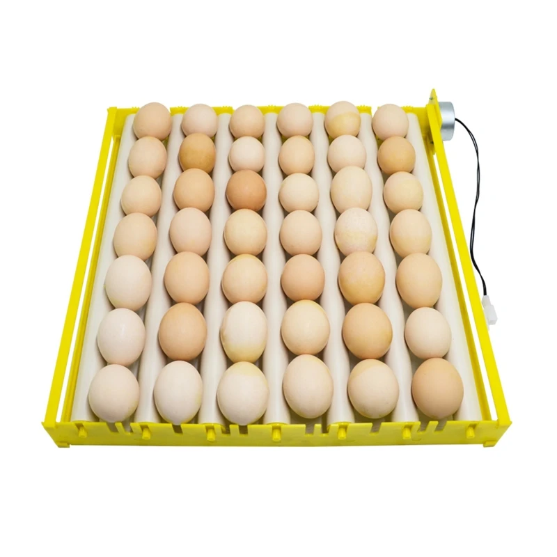 Automatic 360 Degree Rotary Egg Turner Roller Tray Duck Quail Bird Poultry Eggs Hatching Incubator Farm Incubation Tool