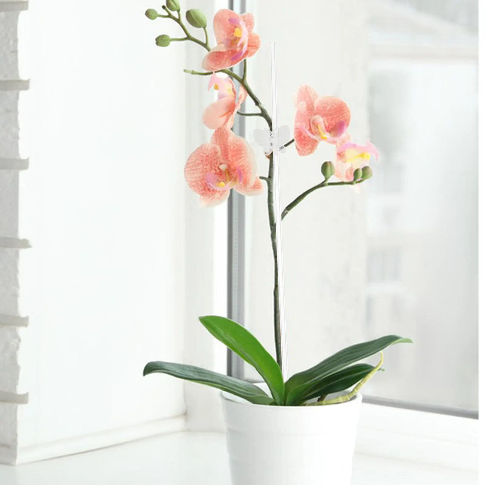 Orchid Stakes Plant Support Clips 20 Pack Clear Plastic Anti Tip Holders for Indoor Garden Greenhouse