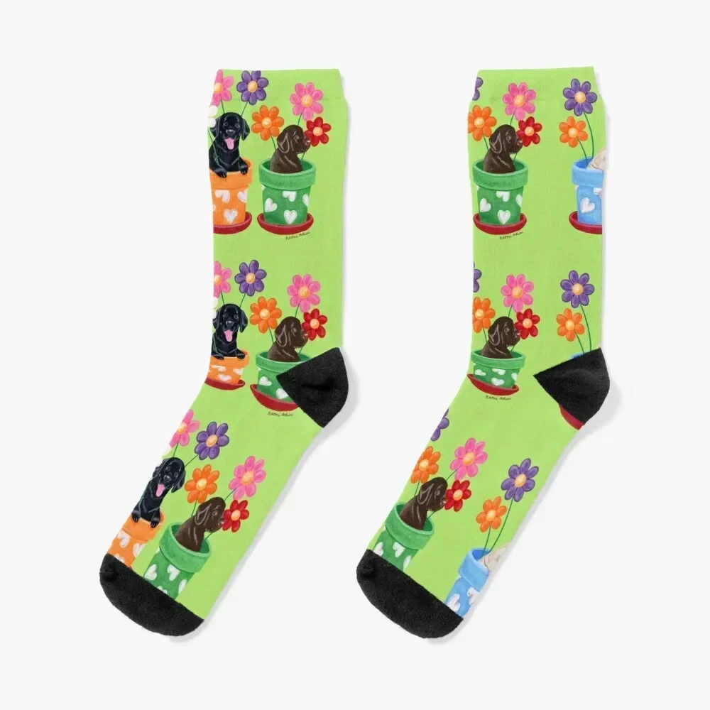 Flower Pots Labrador Puppies Socks aesthetic Stockings man hiking Rugby Men's Socks Luxury Women's