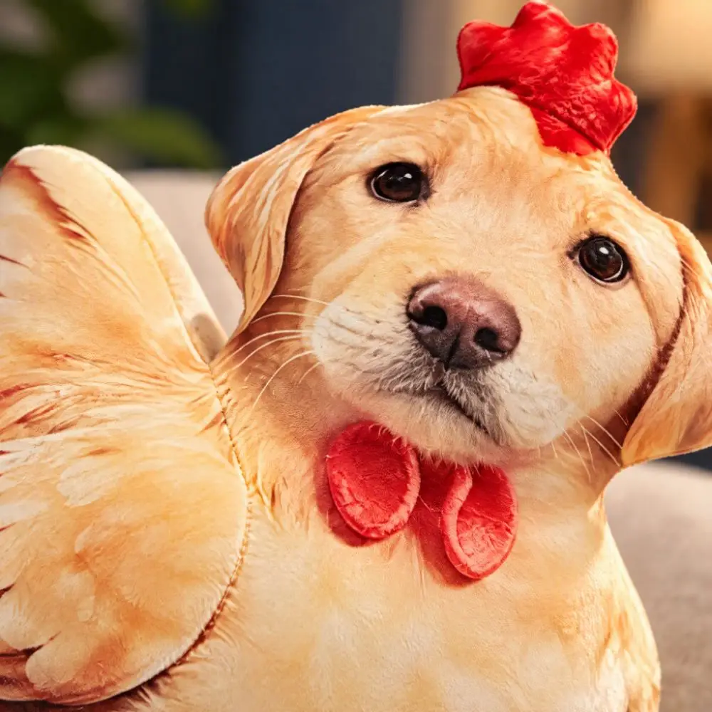 Dog Head Dog Plush Pillow Chicken Body Soft Cute Weird Stuffed Cushion Golden Retriever Simulation Animal Doll Pillow Prank Gift