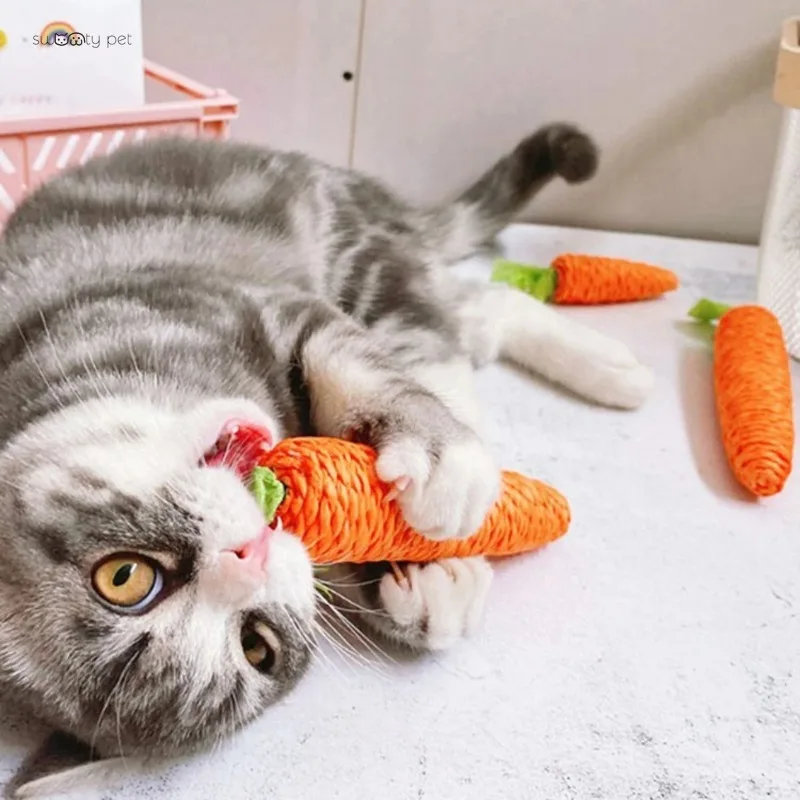 Pet Toy Dogs Carrot Shaped Cat Toy Durable Dog Chew Toy Chewers Woven Items Teeth Gums Carrot Shaped for Medium Sound Carrot