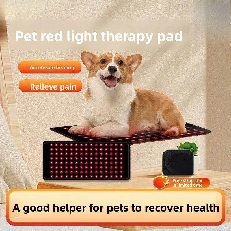 Infrared Physiotherapy Belt Dog Lumbar Spine Recovery Joint Elderly Dog Fracture Bone Spur Patella Pet Red Light