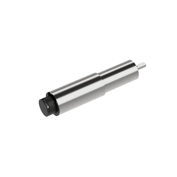 Zhaowei reemplazo personalizado maxon 19mm 12v caja de cambios de motor sin escobillas sin núcleo 120 rpm motor de engranaje de CC para equipo de detección de pozo de aceite