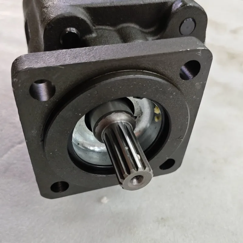 Pompa hydrauliczna bezpośrednio od producenta C102-25LMS-3-25 C102-25LAS C101-25XMS Pompa zębata