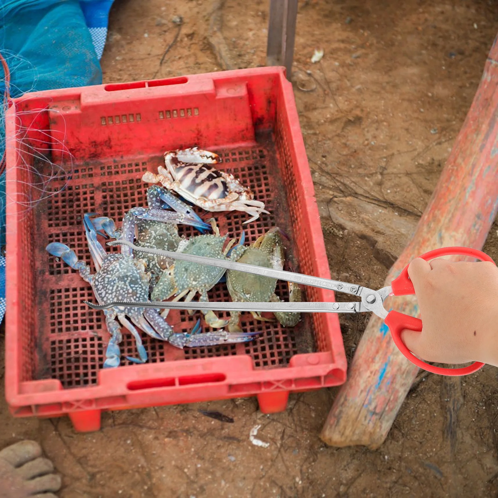 

Fish Catching Clamp Crab Grabber Sturdy Steel Design Ergonomic Handle for Aquatic Creature Capture Outdoor Fishing