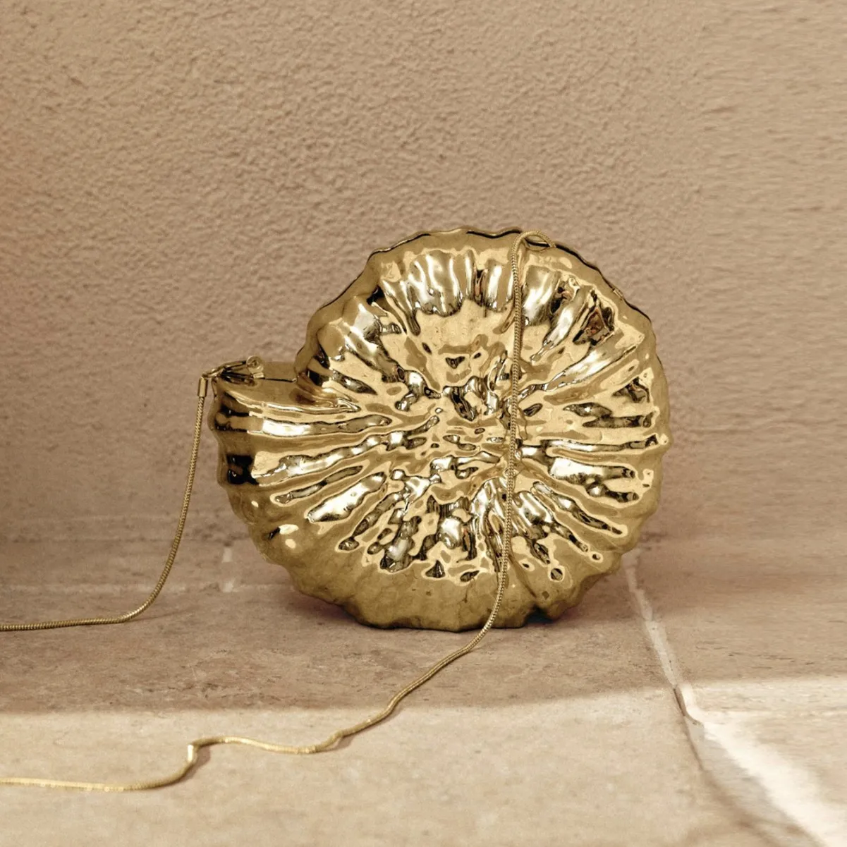 

Gold Silver Acrylic Irregular Small Clutches Fashion Metal Seashell Conch Evening Bags For Women Chain Shoulder Bag Crossbody