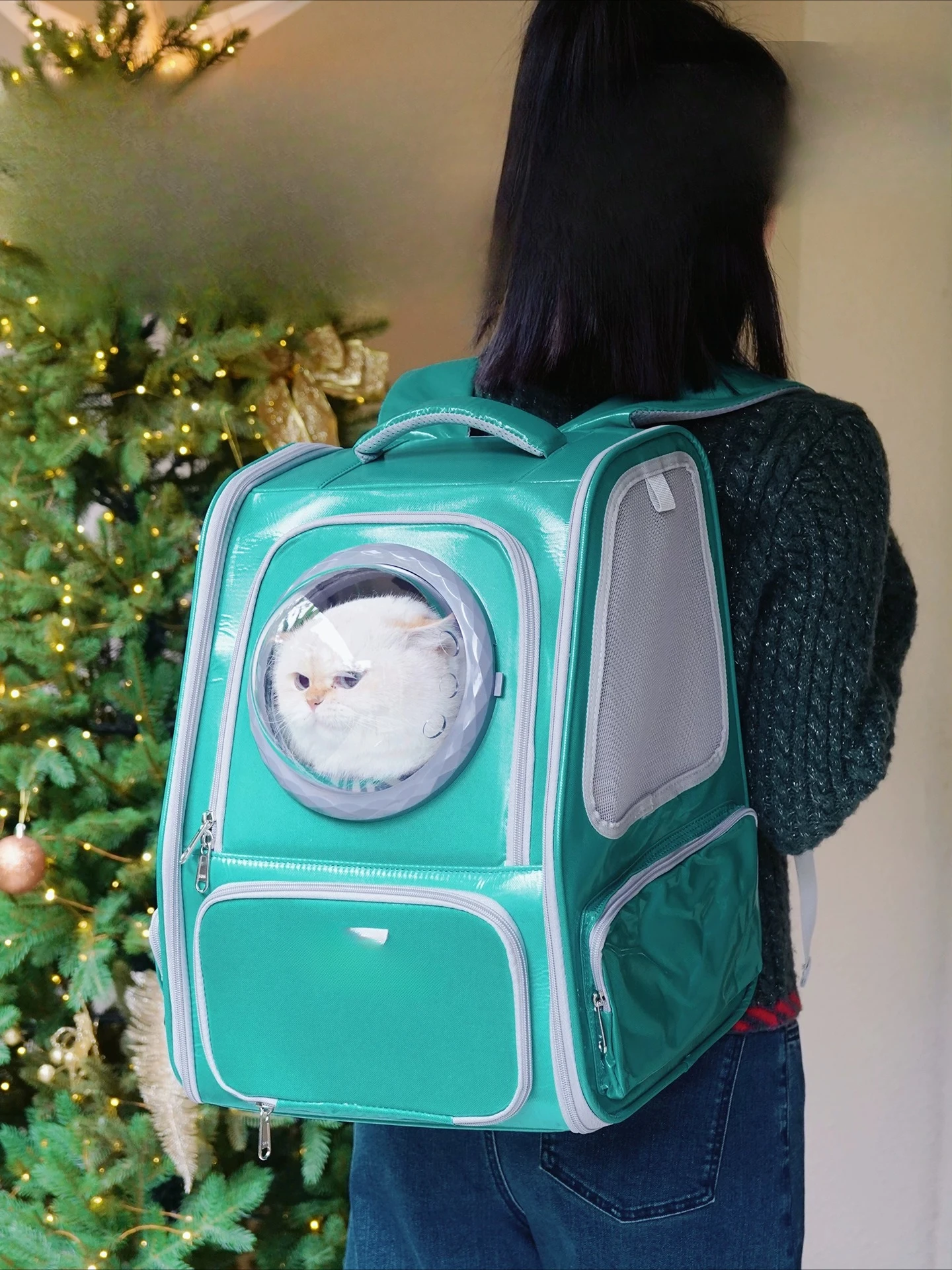 

Space capsule cat bag going out portable pet backpack waterproof winter windproof warm dog large capacity travel cat shoulders