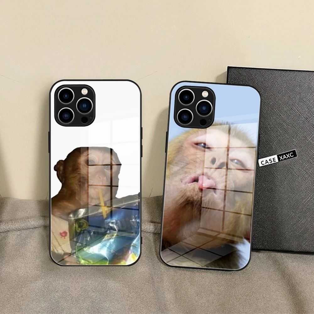 Monkey Sipping Caprisun Meme Phone Case Glass Shell FOR IPhone 15 14 11 12 Pro 8 7 15 Plus 13 Pro MAX XR XS MINI Covers