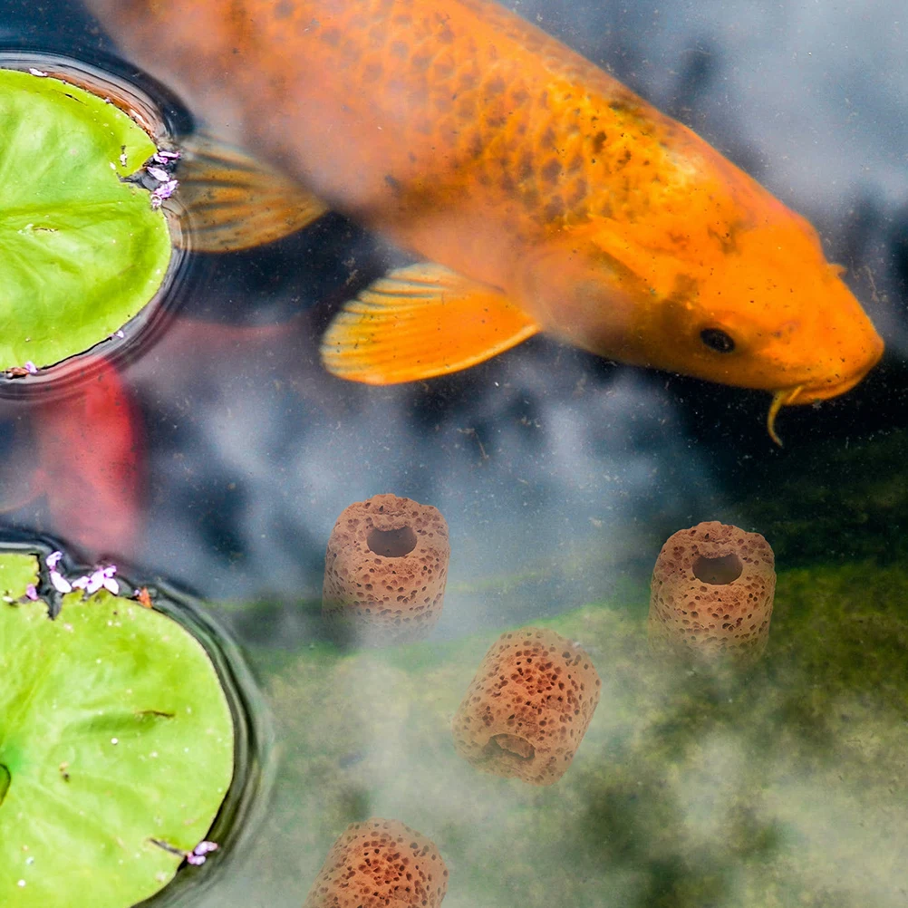 

40 Pcs Aquatic Fixed Ring Aquarium Plants Fixing Base Planting for Accessories Decorate Platform Hold