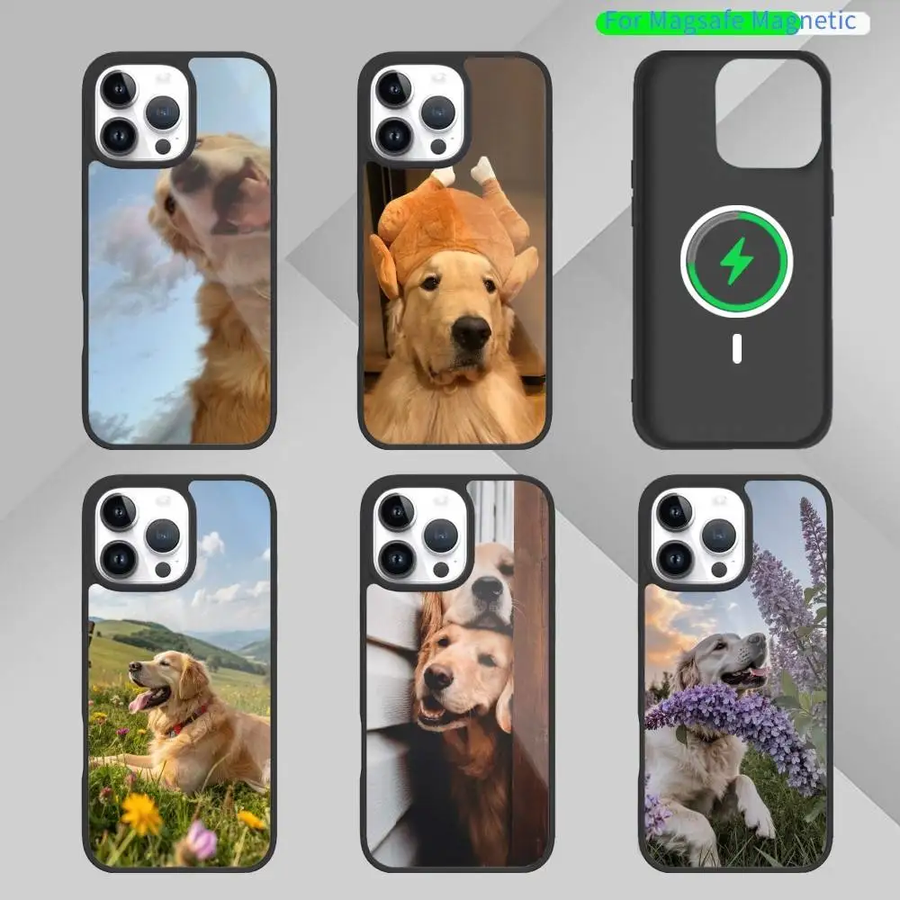 

A cute G-golden R-retriever Phone Case For iPhone17,16,15,14,13,12,11 Plus,Pro Max Magnetic For Magsafe Wireless Charging