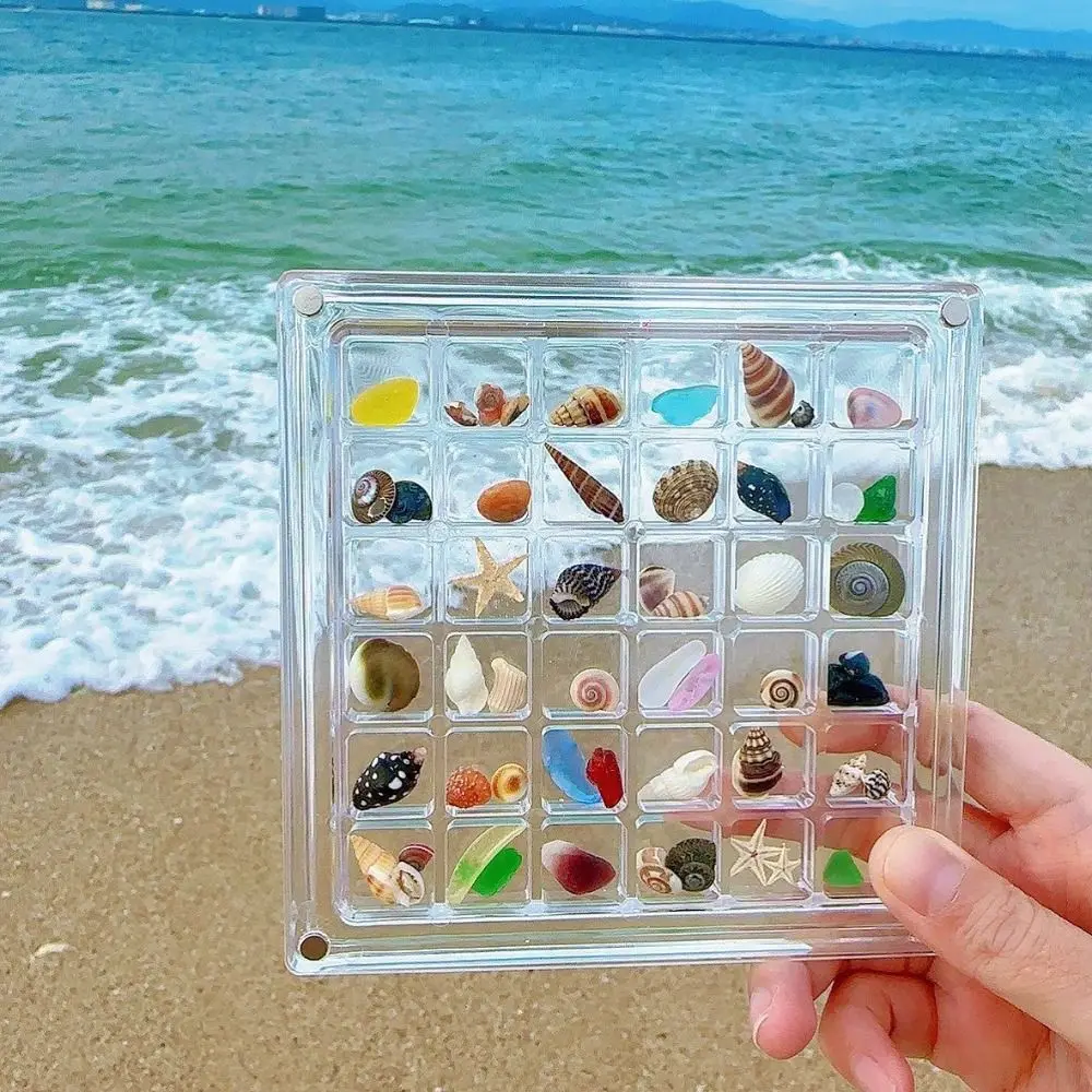 Acrylic Magnetic Seashell Display Box Stackable 36 Grids Seashell Storage Box Clear Multifunctional Beads Collection Box Gifts