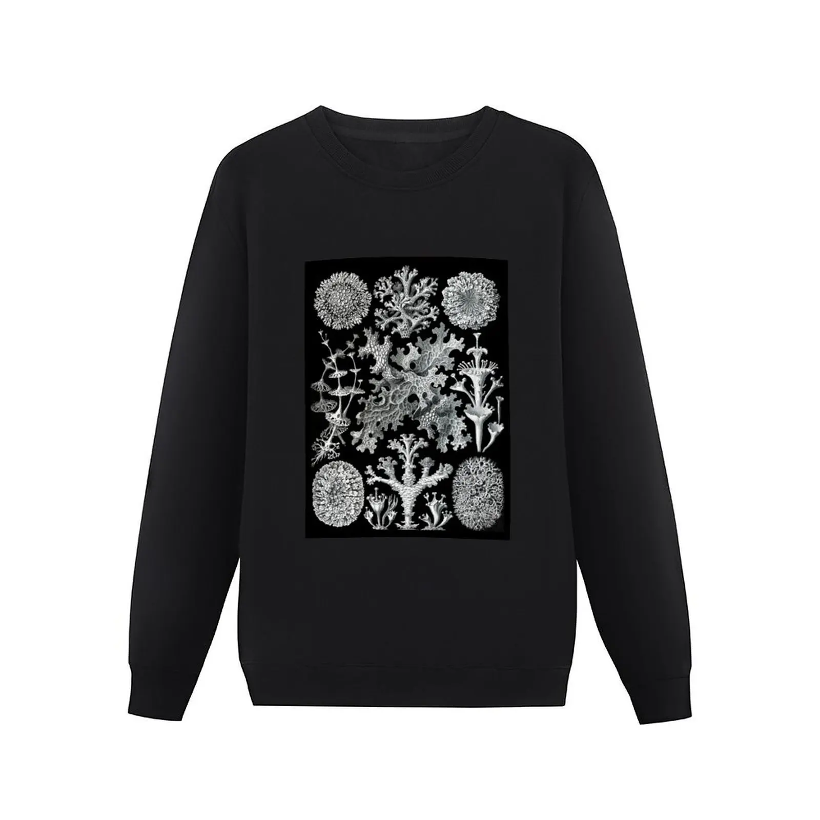 Lichenes–Flechten -Illustration lichens (1904) by Ernst Haeckel. Original from Library of Congress Pullover Hoodie