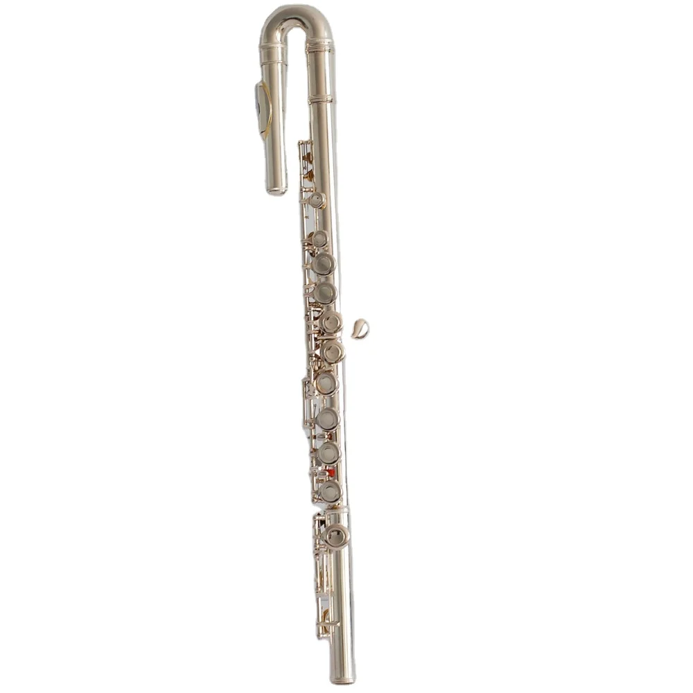 

16 Closed Hole Beginner Flute Instruments