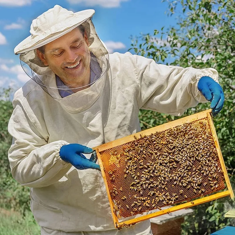 Hojas de cera de abeja para fabricación de velas, 30 piezas, base de cera Natural para marcos de abejas, 16,34X7,68 pulgadas