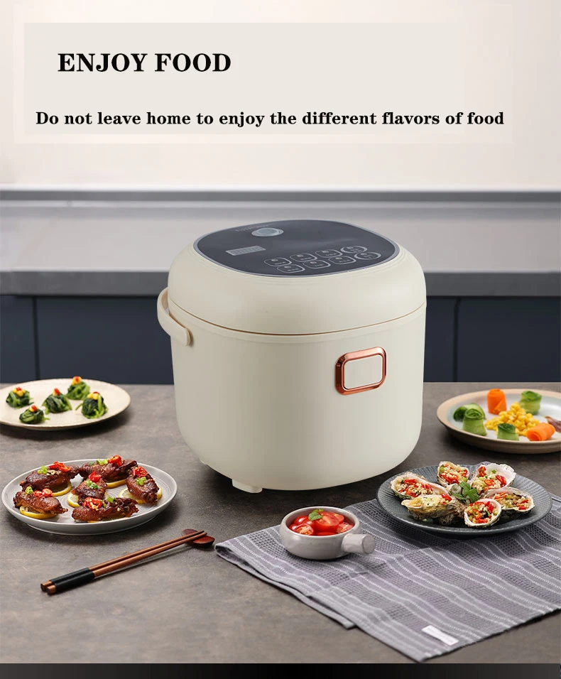 110v 220v  Rmier muti-functional rice cooker mini 2L intelligent reservation 3 to 4 family small dormitory  4 to 5 people eating