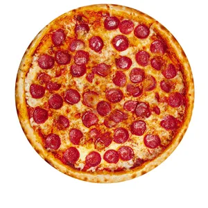 10ベストセールスドルフィンブランケット-9