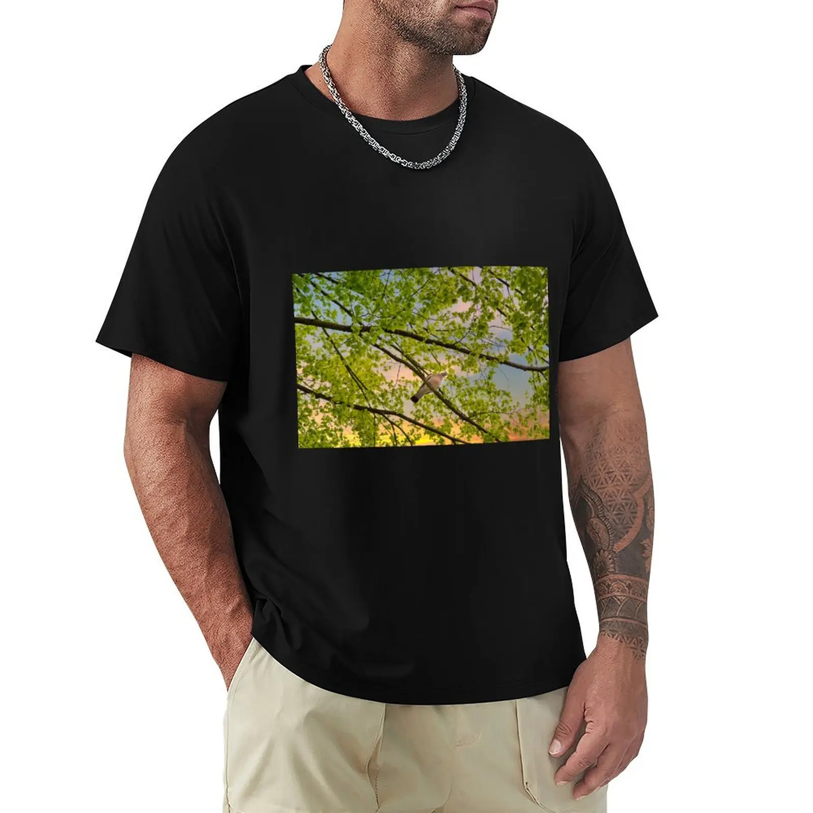 Pigeon at the Malbork castle grounds T-shirt anime clothes customs plus sizes sports fans funny t shirts for men