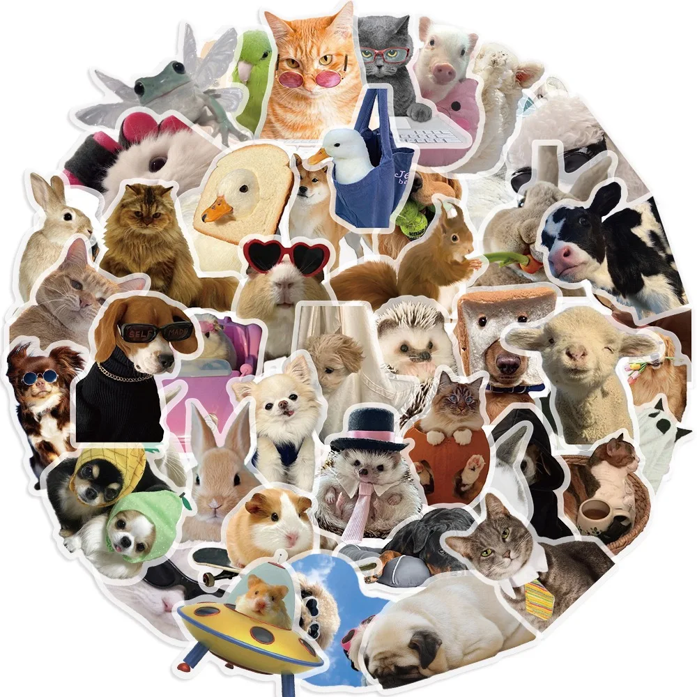 10/50pcs Cute Funny Cats Dogs Meme Transparent Stickers Kawaii Animal Decals Luggage Scrapbook Phone Laptop Fridge Sticker Toy