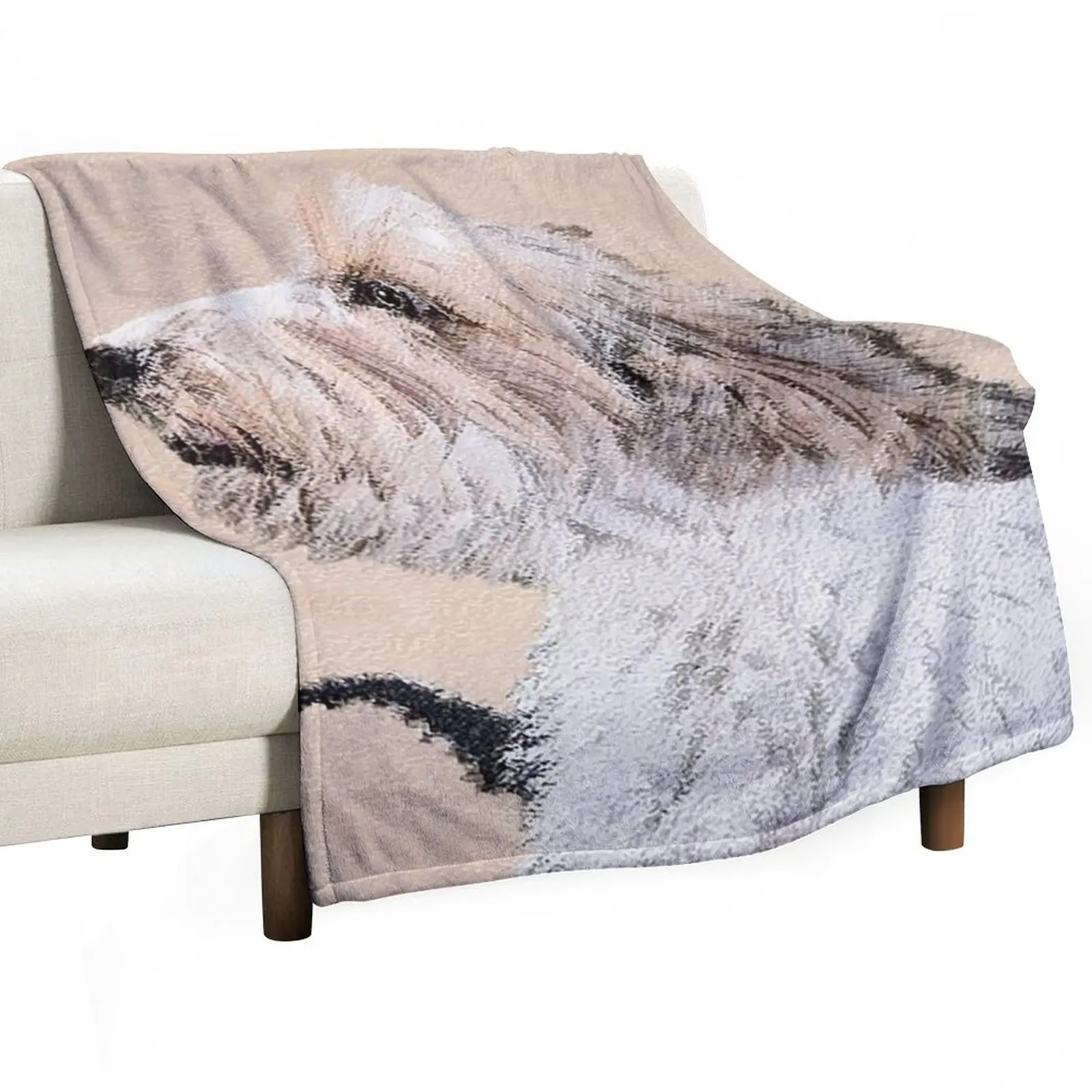 Petit Basset Griffon Vend??en Throw Blanket Luxury Soft Beds Soft Plush Plaid for winter Sofa Throw Heavy Blankets