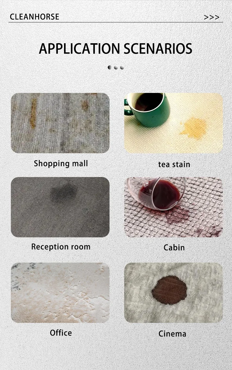 

CleanHorse TJ-10 Multifunctional Commercial Steam Extractor Carpet Cleaner for Business Carpet Sofa Curtain Deep Cleaning
