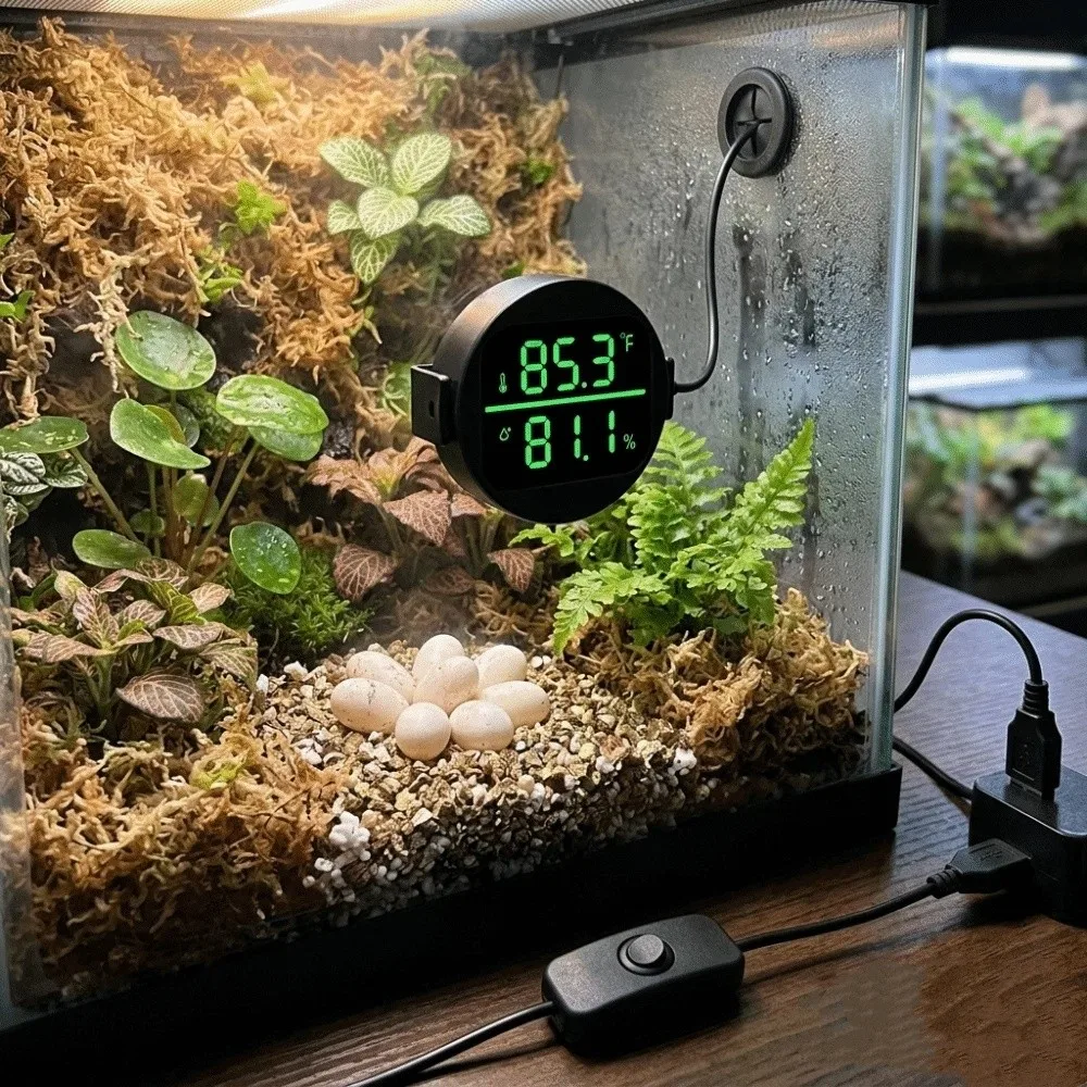 Built-in Sensing Chip Reptile Thermometer Hygrometer Real-Time Accurate Readings Reptile Tank Thermo-Hygrometer