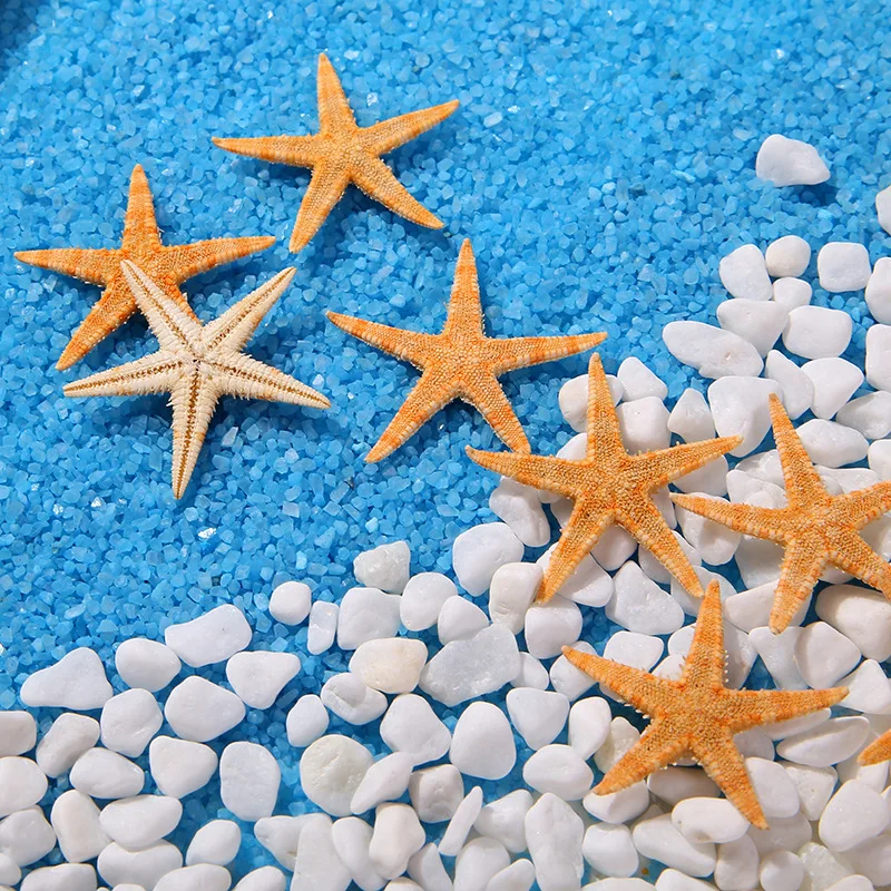 50pcs/ Bag Natural Starfish, Resin Starfish, White Stone DIY Beach Art Photography Background Sea Photo Accessories Decoration