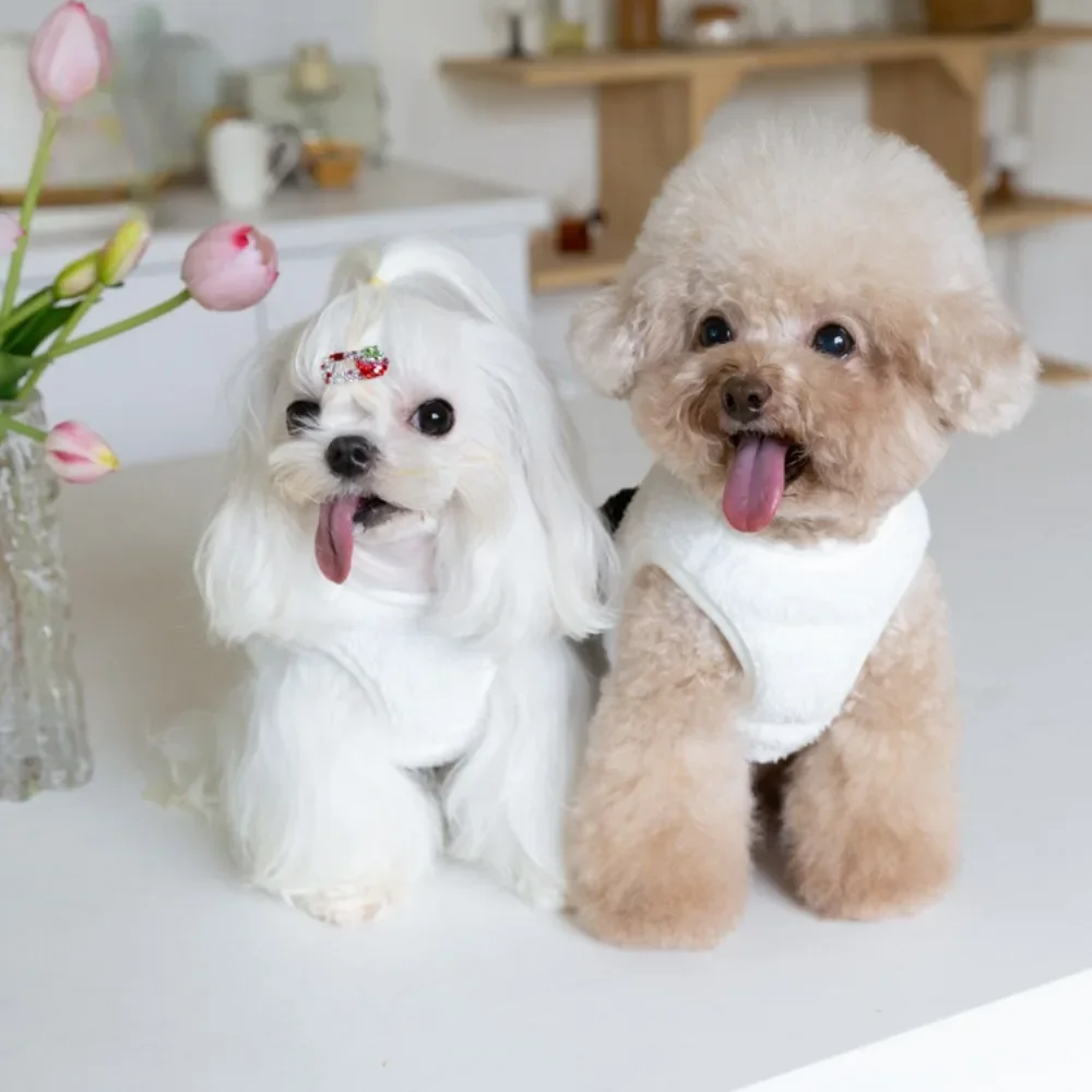 Peluche Double Face Pour Animaux De Compagnie, Oreilles De Chien Mignonnes, Vêtements Chauds Pour Chats Et Chiens, Petits Chiens