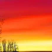 Hospital Wireless C…