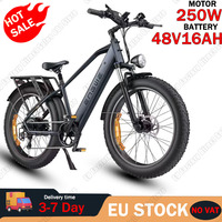ENGWE E26 Electric Bicycle 250W Motor 48V16AH Lithium Battery Hydraulic Brake E-bike 26*4-in Fat Tire Aldult Snow Electric Bike
