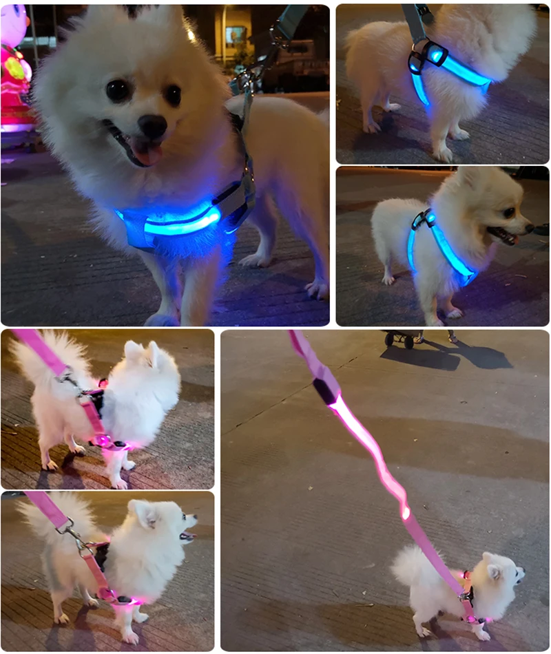 Einstellbare led hunde geschirr usb wiederauf ladbare blinkende nacht sicherheit keine zug halsbänder harness für kleine mittlere hunde haustiere arnes perro – Detail 3