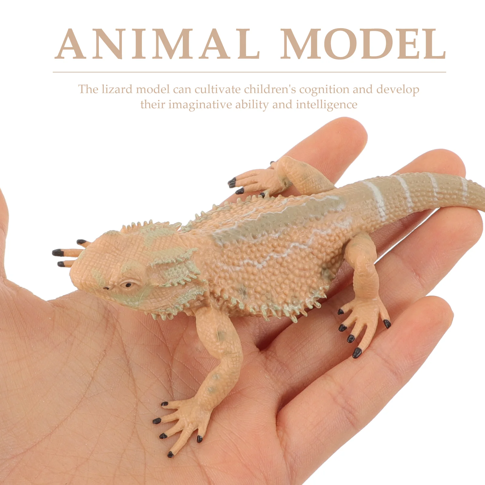 Miniature Landscape Ornament Lizard Model Toy Decor Reptile Figurine Animal Statue Plastic Child