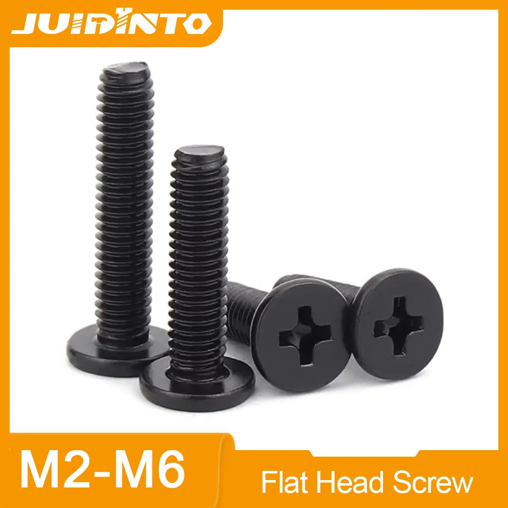 JUIDINTO Phillips Ultra Thin Low Flat Wafer Head Screw M2 M2.5 M3 M4 M5 M6 Stainless Steel Black Small Screw for Laptop Computer